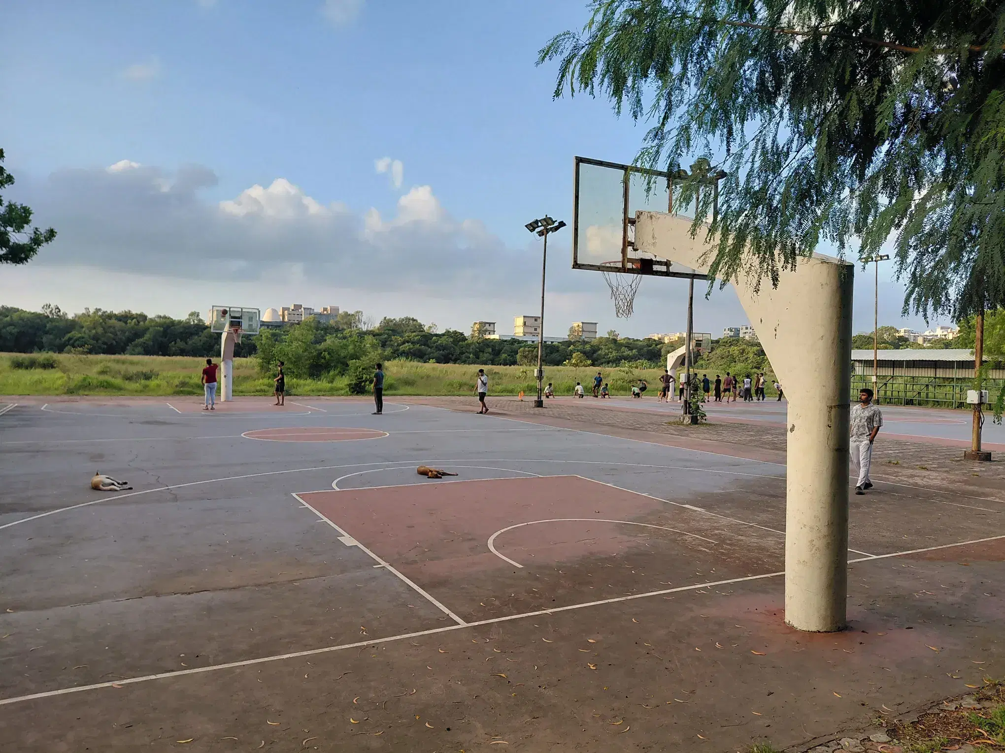 NIT Surat Sports photo 2